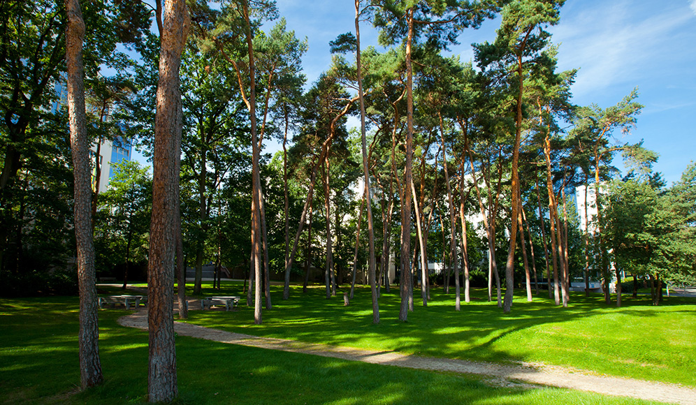 Grünanlage im Südwestpark bei Sonnenschein